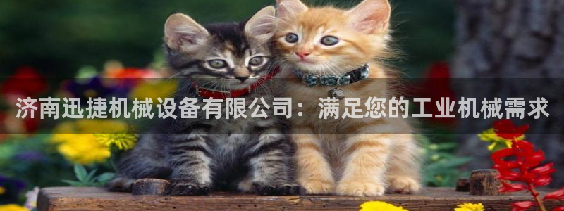 j9九游会怎么样