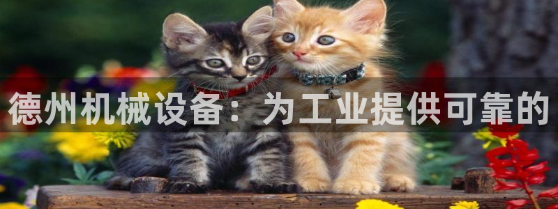 九游会app下载版官网正版手游