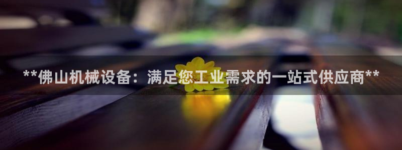九游j9