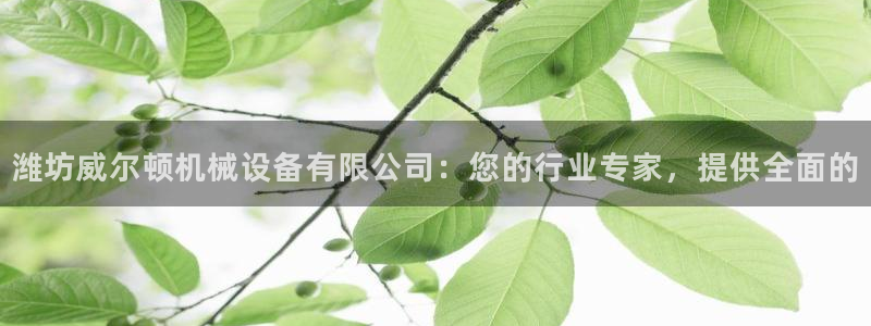 九游会视讯,九游会视讯官网