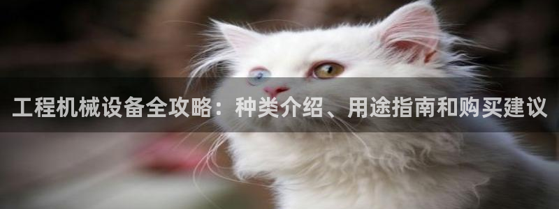9游会旗舰