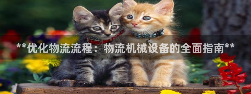 九游会国际厅有限责任公司