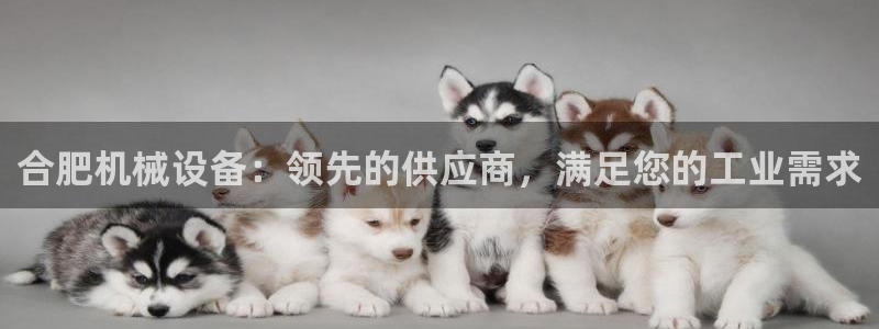 九游会j9官方网站