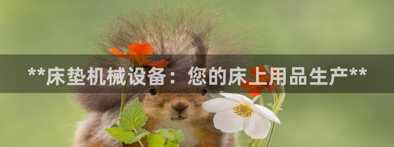 九游会网址是什么情况