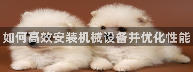 九游j9官网