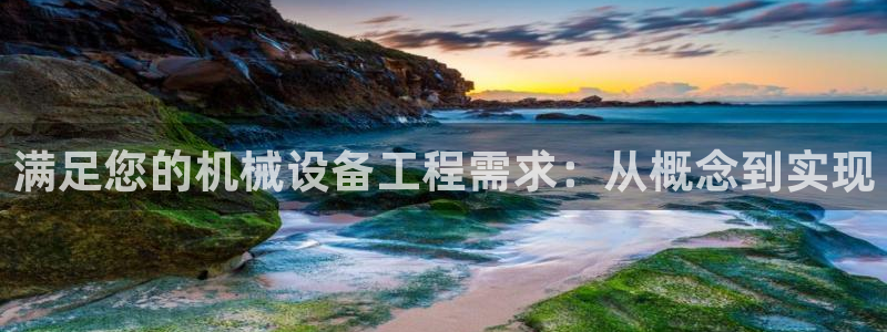 九游会是什么组织