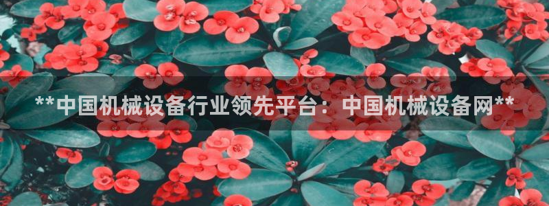 九游会官网页登录