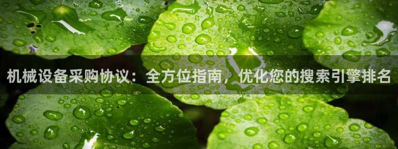 九游会ag老哥