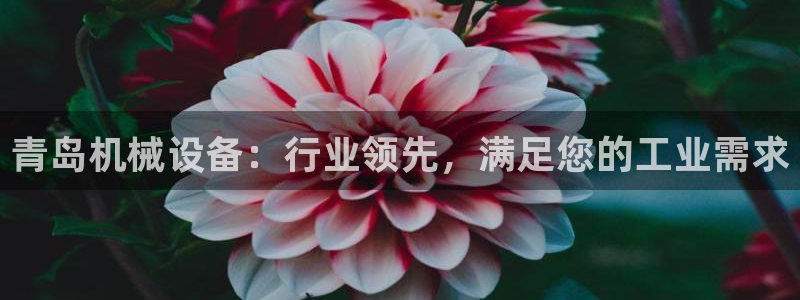 九游会中国入口嘛