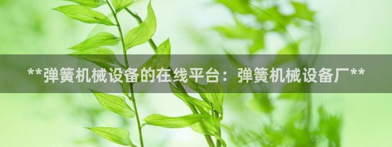 九游会亚洲唯一合作伙伴