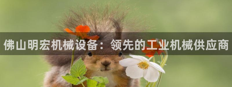 九游会老哥俱乐部官方网站
