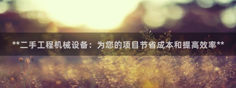 九游会中国入口嘛