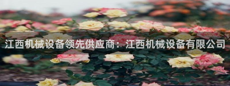九游会电话
