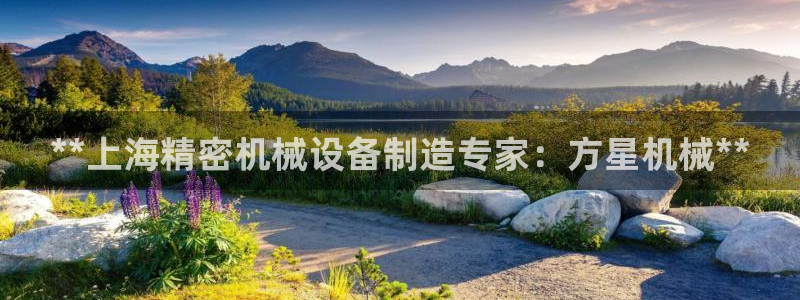 九游会中国入口