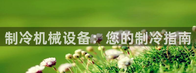 九游会视讯
