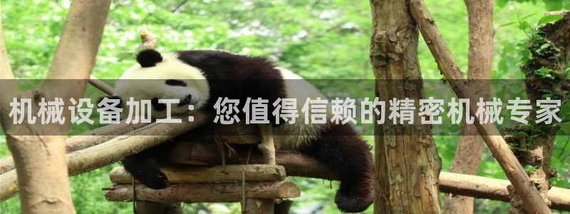 九游会是一个什么网站