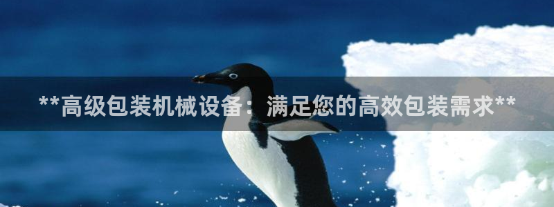 九游会ag老哥