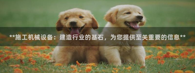 九游会AGapp下载