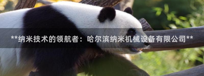 九游会真假