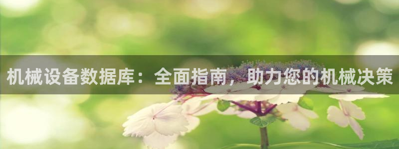 ag九游会vip8