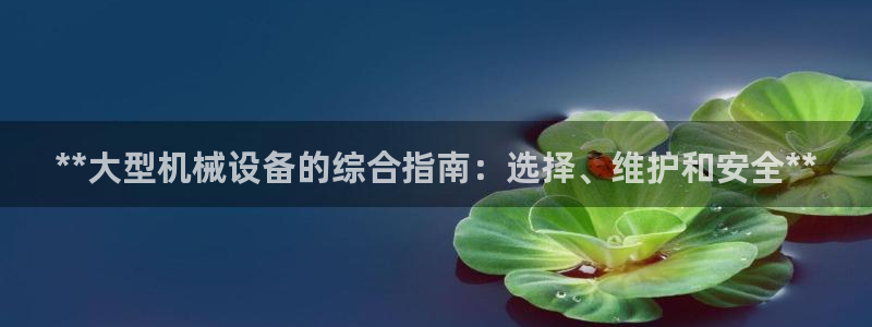 j9九游会体育
