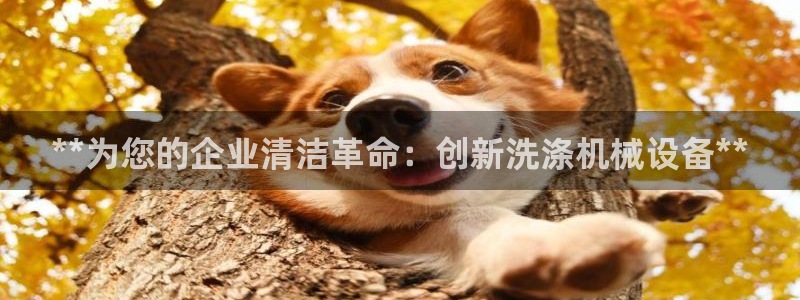 9游会官方网站
