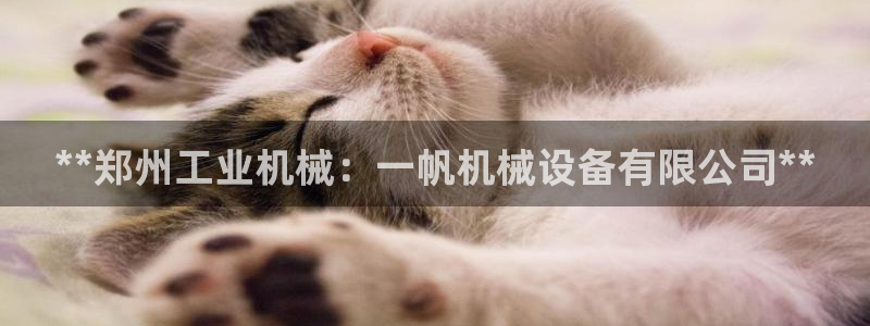 j9九游会app官方下载