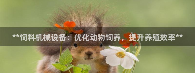 j9九游会老哥俱乐部介绍