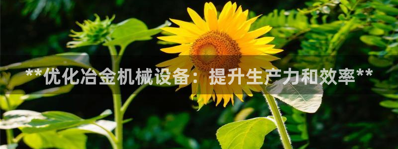 九游会平台最强