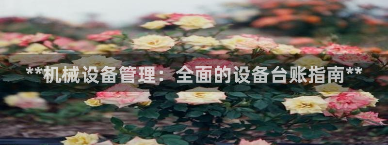 j9九游会官方网站国际