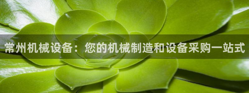 J9九游会俱乐部