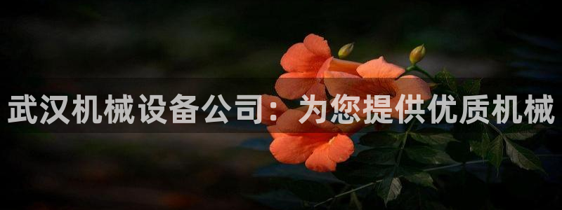 九游会j9