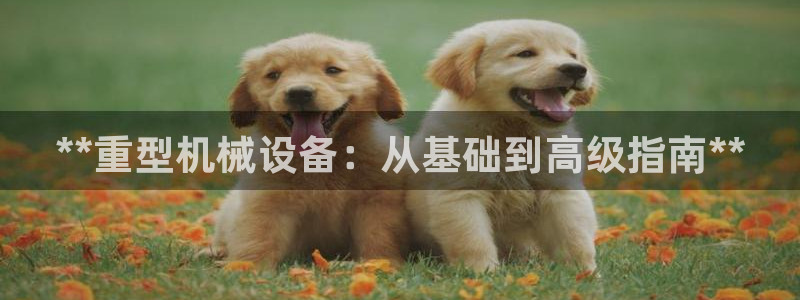 九游会视讯,九游会视讯厅