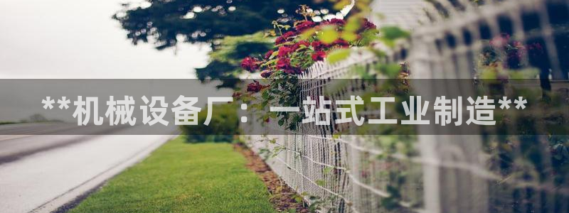 九游会直营