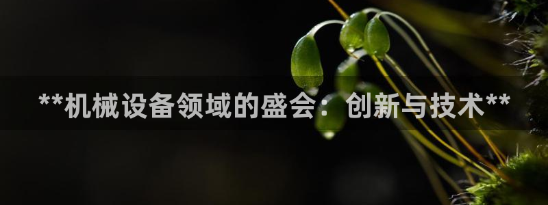 九游会视讯