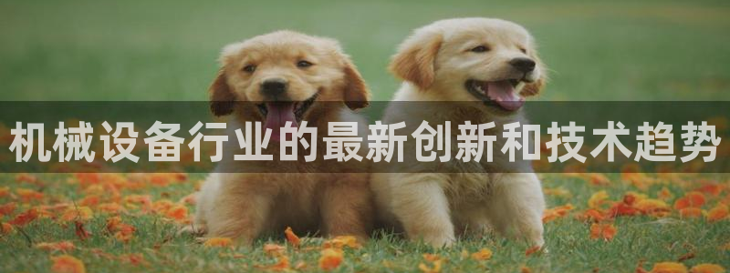 j9官网登录入口网页