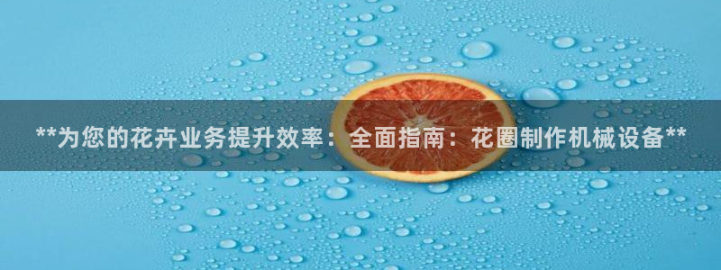 九游会官网网址是多少