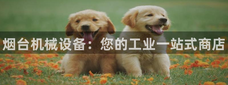九游会在线官方网站登录吗