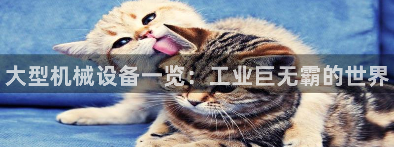 九游会官方地址