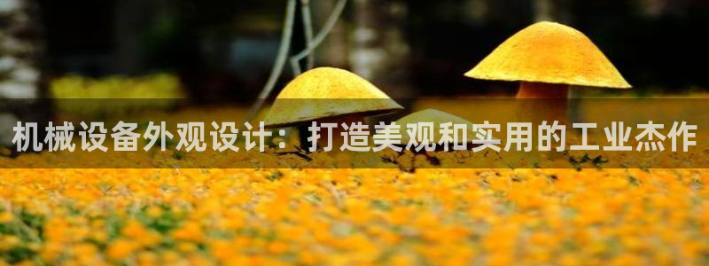 九游会登录网站吗