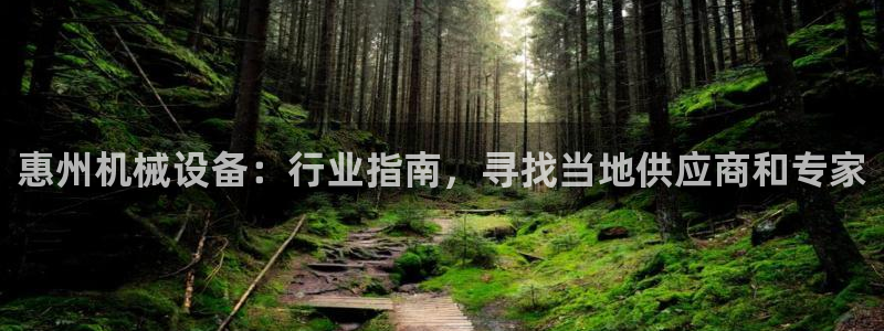 九游会是什么组织