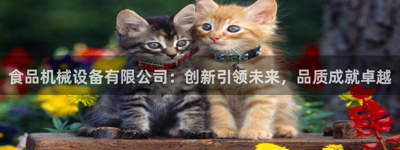 ag8亚洲九游会