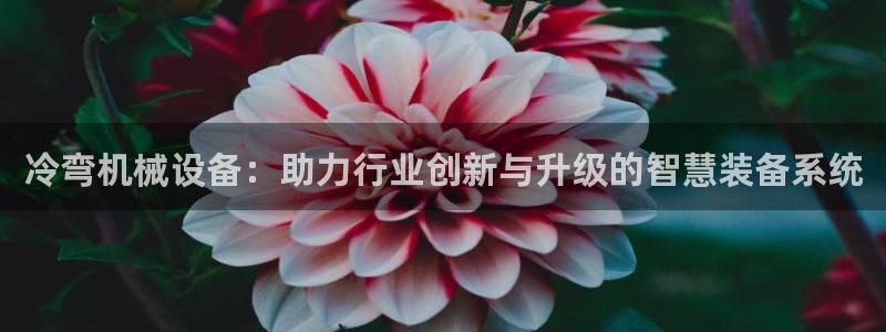 ag九游会官网网址