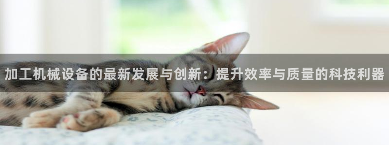 j9九游会老哥俱乐部客服