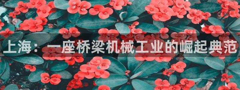 九游会官网在线