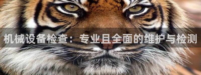 九游会官方网站中心