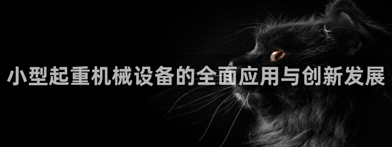 九游会平台王一博泰国