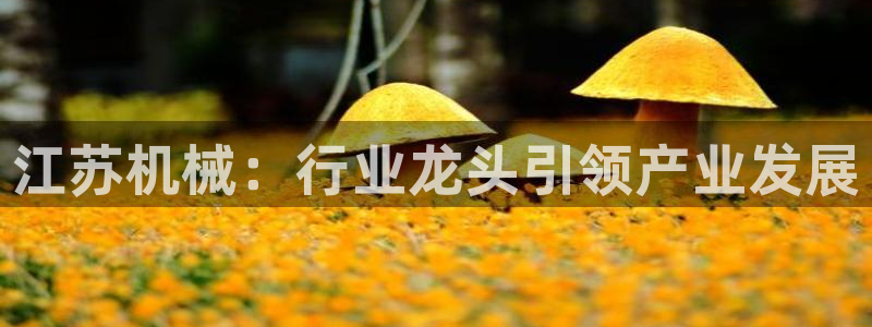 九游会官方正版下载：