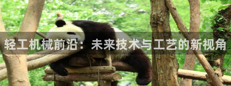 j9九游会真人第一品牌