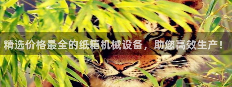 九游会老哥俱乐部官网
